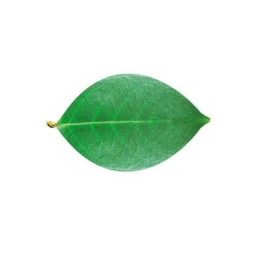 EasyLife - Mata na stół "Liść", (polipropylen)