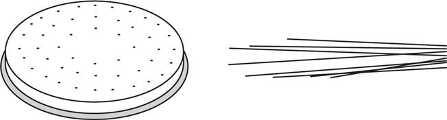 Hendi - Końcówka do urządzenia do makaronu MPF2,5/4 – CAPELLI D'ANGELO Wariant podstawowy