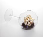 Tomgast - Siesta 350 ml